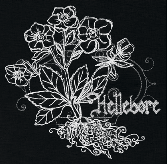 Hellebore embroidery design, shown as it stitches: light thread on black
