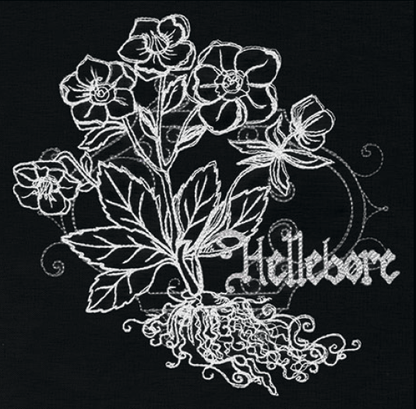 Hellebore embroidery design, shown as it stitches: light thread on black